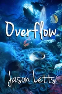 Overflow