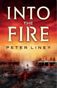 Into the Fire (The Detainee #2)