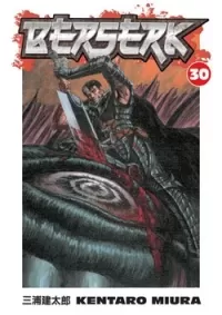Berserk: Volume 30 (Berserk #30)