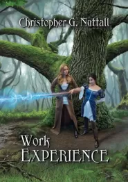 Work Experience (Schooled in Magic #4)