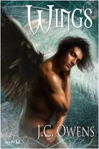 Wings (Wings #1)
