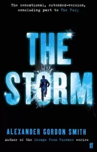The Storm (The Fury #2)
