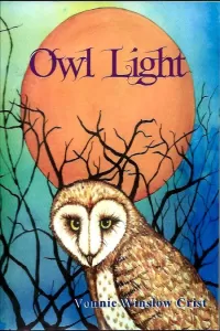 Owl Light