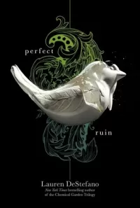 Perfect Ruin (The Internment Chronicles #1)
