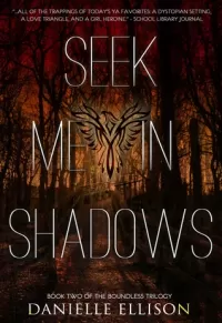 Seek Me in Shadows (The Boundless Trilogy #2)