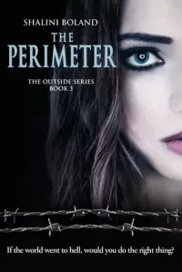 The Perimeter (The Outside Series #3)