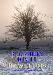 Blackthorn Winter (Comet Weather #2)