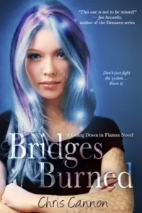 Bridges Burned (Going Down in Flames #2)