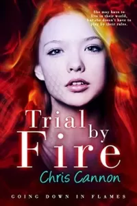 Trial by Fire (Going Down in Flames #3)