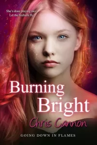 Burning Bright (Going Down in Flames #5)