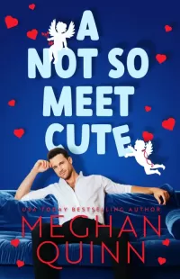 A Not So Meet Cute (Cane Brothers #1)