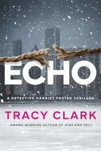 Echo (Detective Harriet Foster #3)
