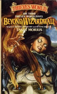 Beyond Wizardwall (Thieves' World (other novels) #3)