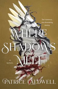Where Shadows Meet (Where Shadows Meet #1)