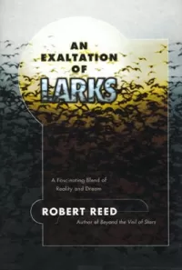An Exaltation of Larks