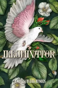 Illuminator (Gods of Tintar #1.5)