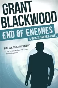 End of Enemies (Briggs Tanner #1)
