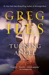 Turning Angel (Penn Cage #2)
