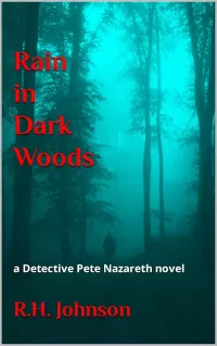 Rain in Dark Woods (The Detective Pete Nazareth Series #11)