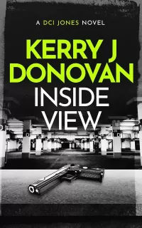 Inside View (The DCI Jones Casebook #4)