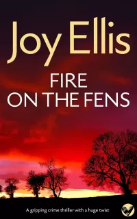 Fire on the Fens (Detective Nikki Galena Mysteries #9)