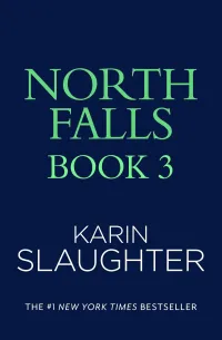 North Falls Book 3 (North Falls Thriller #3)