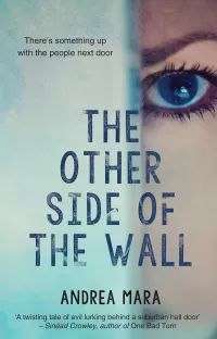 The Other Side Of The Wall