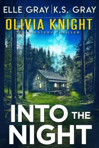 Into the Night (Olivia Knight FBI Mystery Thriller #11)