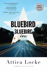 Bluebird, Bluebird (Highway 59 #1)