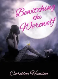Bewitching the Werewolf (Megan Stephens #1)