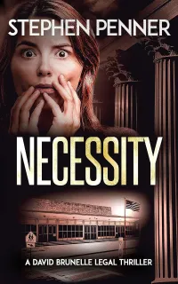Necessity (David Brunelle Legal Thriller Series #16)