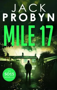 Mile 17 (DC Jake Tanner SO15 Files Series #7)