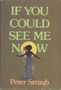 If You Could See Me Now