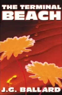 The Terminal Beach