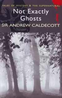 Not Exactly Ghosts: Tales of Mystery and the Supernatural