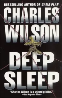 Deep Sleep
