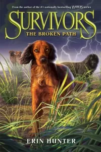 The Broken Path