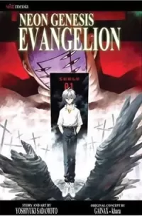 Neon Genesis Evangelion: Volume 11