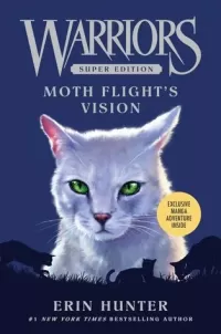 Moth Flight's Vision 