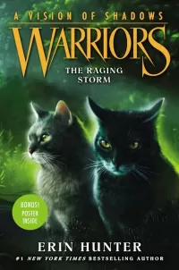 The Raging Storm 