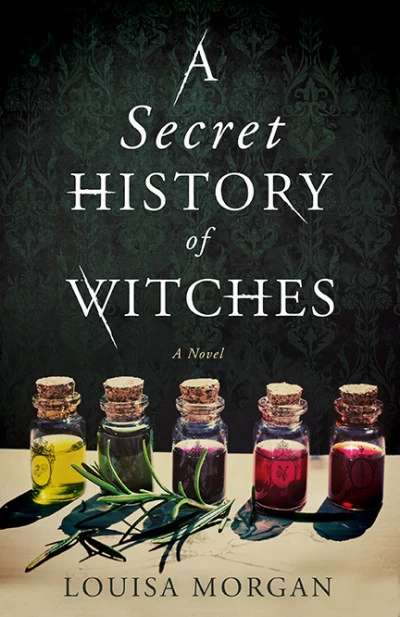 A Secret History of Witches - Louisa Morgan