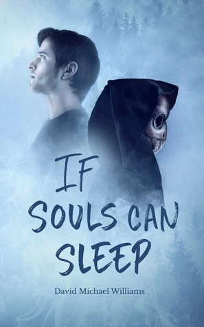 If Souls Can Sleep (The Soul Sleep Cycle #1) by David Michael Williams